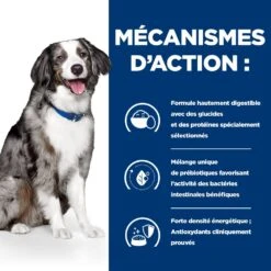 Hill's Prescription Diet I/D AB+ Sensitive Croquettes Pour Chien -Magasin De Fournitures Pour Chiens De Compagnie 00052742040592 5 prescription diet chien i d sensitive croquettes