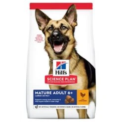 Hill's Science Plan Mature Adult Croquettes Pour Grand Chien Sénior Au Poulet