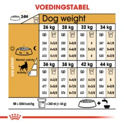 Royal Canin Berger Allemand Adult Pour Chien 11kg -Magasin De Fournitures Pour Chiens De Compagnie 0bdba5bbd61f97412b6852ecceca7fa50f1841c11d0684e5eeecd164dcc096c7