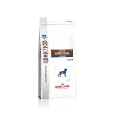 Royal Canin Gastro Intestinal Puppy Chien -Magasin De Fournitures Pour Chiens De Compagnie 2021057f81646d34e3b010d54900eb0e0515a48b16324bcd167c9899ff88a88b