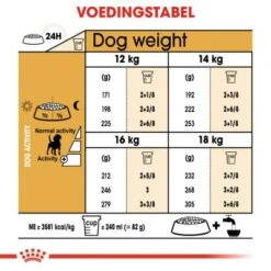 Royal Canin Beagle Adult Pour Chien 12kg -Magasin De Fournitures Pour Chiens De Compagnie 2da956bc9d2cd519e513f67312a43811d975a51cc1109c055e812a1dfe8b2c91