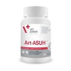 Art-ASUH S - 60 Capsules