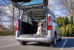 Trixie Protection Chien Pour Voiture Avec Fixations Aux Appuies-tête 105-172 Cm -Magasin De Fournitures Pour Chiens De Compagnie 43b9171670aa632db8d0b50216bda1040921a87f11069c8ac80902918560e8aa