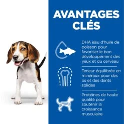Hill's Science Plan Puppy Croquettes Et Boîtes Pour Chiot Medium Au Poulet -Magasin De Fournitures Pour Chiens De Compagnie 52742025728 3 science plan chiot medium croquettes poulet.jpg