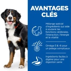 Hill's Science Plan Senior Vitality Croquettes Pour Grand Chien Mature Au Poulet Et Au Riz 14Kg -Magasin De Fournitures Pour Chiens De Compagnie 52742025964 3 science plan senior vitaity chien large croquettes poulet