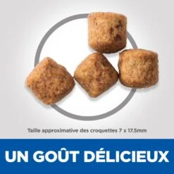 Hill's Science Plan Senior Vitality Croquettes Pour Grand Chien Mature Au Poulet Et Au Riz 14Kg -Magasin De Fournitures Pour Chiens De Compagnie 52742025964 4 science plan senior vitaity chien large croquettes poulet