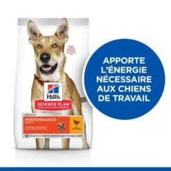Hill's Science Plan Adult Performance Croquettes Pour Chien Au Poulet 14Kg -Magasin De Fournitures Pour Chiens De Compagnie 52742026114 2 science plan performance chien adulte croquettes poulet