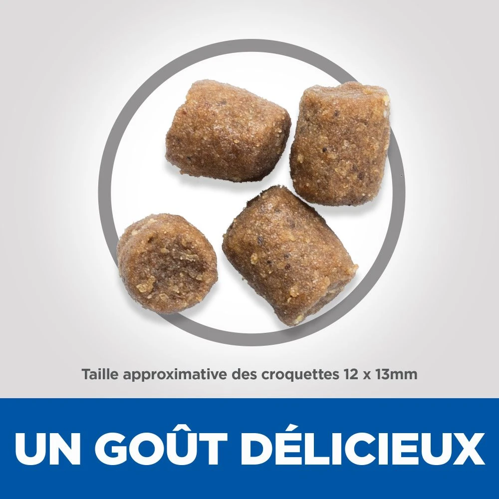 Hill's Science Plan Adult Healthy Mobility Croquettes Pour Chien Medium Au Poulet 14Kg 5 Hill's Science Plan Adult Healthy Mobility Croquettes Pour Chien Medium Au Poulet 14Kg – Image 5