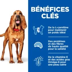 Hill's Science Plan Mature Adult Light Croquettes Pour Chien Sénior Medium Au Poulet - 14Kg 11 Hill's Science Plan Mature Adult Light Croquettes Pour Chien Sénior Medium Au Poulet - 14Kg -Magasin De Fournitures Pour Chiens De Compagnie 52742026169 3 science plan light chien g medium croquettes poulet