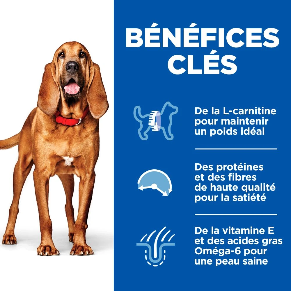 Hill's Science Plan Mature Adult Light Croquettes Pour Chien Sénior Medium Au Poulet - 14Kg 4 Hill's Science Plan Mature Adult Light Croquettes Pour Chien Sénior Medium Au Poulet - 14Kg – Image 4