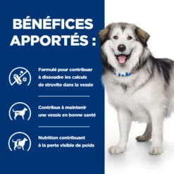 Hill's Prescription Diet C/d Multicare + Metabolic Croquettes Pour Chien -Magasin De Fournitures Pour Chiens De Compagnie 52742037394 4 prescription diet chien c d multicare metabolic croquettes