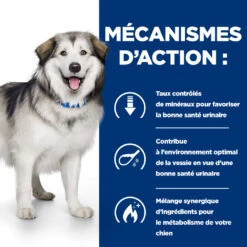 Hill's Prescription Diet C/d Multicare + Metabolic Croquettes Pour Chien -Magasin De Fournitures Pour Chiens De Compagnie 52742037394 5 prescription diet chien c d multicare metabolic croquettes