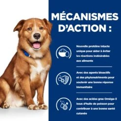 Hill's Prescription Diet Derm Complete Pour Chien -Magasin De Fournitures Pour Chiens De Compagnie 52742038704 5 prescription diet chien derm complete croquettes