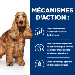 Hill's Prescription Diet Z/D AB+ Pour Chien Au Poulet -Magasin De Fournitures Pour Chiens De Compagnie 52742040455 5 prescription diet chien z d croquettes