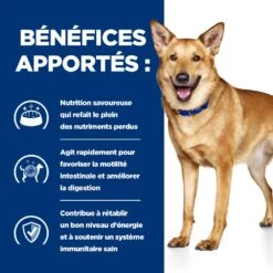 Hill's Prescription Diet I/D AB+ Pour Chien Au Poulet -Magasin De Fournitures Pour Chiens De Compagnie 52742043166 4 prescription diet chien i d croquettes
