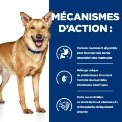 Hill's Prescription Diet I/D AB+ Pour Chien Au Poulet -Magasin De Fournitures Pour Chiens De Compagnie 52742043166 5 prescription diet chien i d croquettes