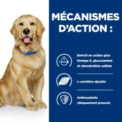 Hill's Prescription Diet J/D Mobility Croquettes Pour Chien Au Poulet -Magasin De Fournitures Pour Chiens De Compagnie 52742045740 5 prescription diet chien j d croquettes poulet
