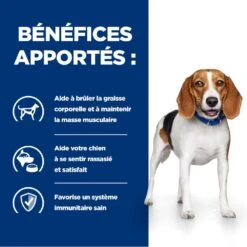 Hill's Prescription Diet R/D Croquettes Pour Chien Au Poulet -Magasin De Fournitures Pour Chiens De Compagnie 52742047256 3 prescription diet chien r d croquettes poulet