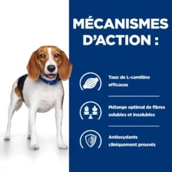 Hill's Prescription Diet R/D Croquettes Pour Chien Au Poulet -Magasin De Fournitures Pour Chiens De Compagnie 52742047256 4 prescription diet chien r d croquettes poulet