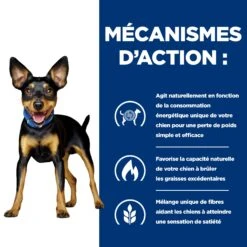 Hill's Prescription Diet Metabolic Mijotés Pour Chien 24x156g Poulet Et Légumes -Magasin De Fournitures Pour Chiens De Compagnie 52742047331 2 FR