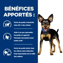 Hill's Prescription Diet Metabolic Mijotés Pour Chien 24x156g Poulet Et Légumes -Magasin De Fournitures Pour Chiens De Compagnie 52742047331 3 FR