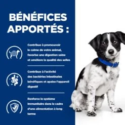 Hill's Prescription Diet I/D Stress Digestive Mini Pour Petit Chien Au Poulet 14 Hill's Prescription Diet I/D Stress Digestive Mini Pour Petit Chien Au Poulet -Magasin De Fournitures Pour Chiens De Compagnie 52742048123 4 prescription diet chien i d stress mini croquettes