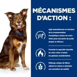 Hill's Prescription Diet Metabolic Pour Chien -Magasin De Fournitures Pour Chiens De Compagnie 52742209906 5 prescription diet chien metabolic croquettes poulet