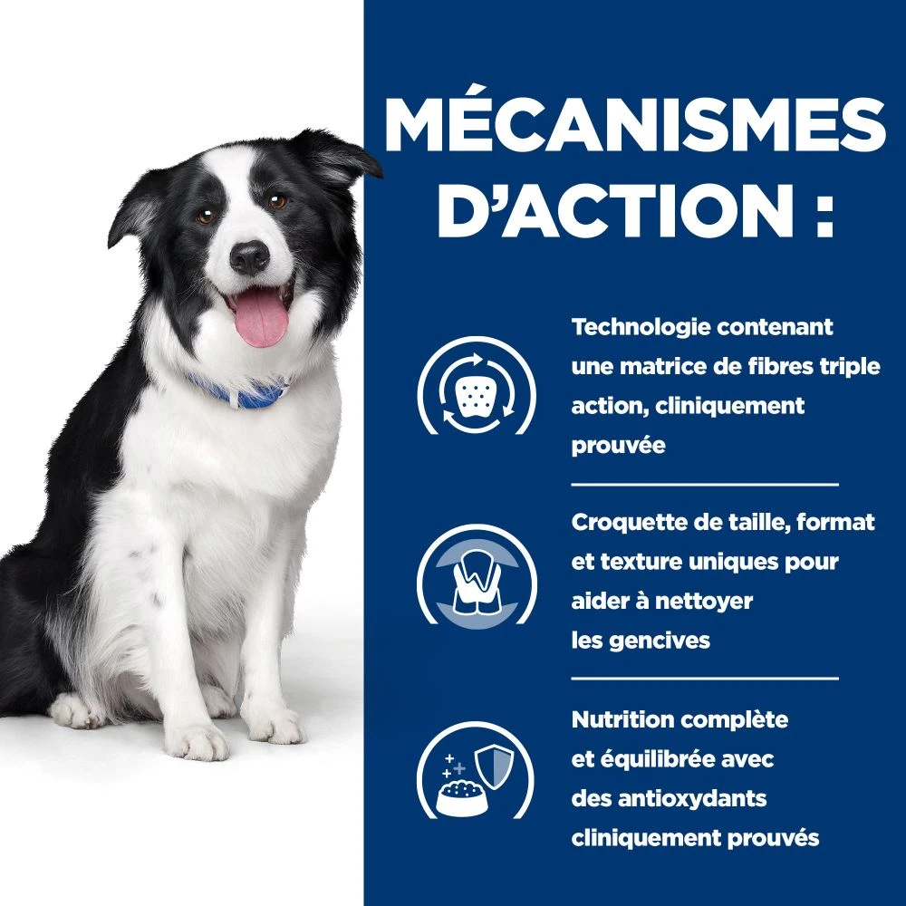 Hill's Prescription Diet T/D Dental Care Croquettes Pour Chien Au Poulet 6 Hill's Prescription Diet T/D Dental Care Croquettes Pour Chien Au Poulet – Image 6