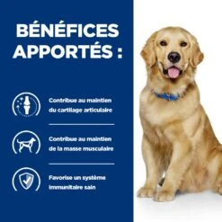 Hill's Prescription Diet J/D Reduced Calorie Croquettes Pour Chien Au Poulet -Magasin De Fournitures Pour Chiens De Compagnie 52742613901 4 prescription diet chien j d croquettes poulet