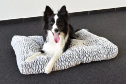 Flamingo Coussin Snoozzy Rectangulaire Gris/noir 60x45x10cm -Magasin De Fournitures Pour Chiens De Compagnie 530e10257ee4a8e8a1bc4b32d1438d21e90871c4b1b568bcbf54cebe8348f118