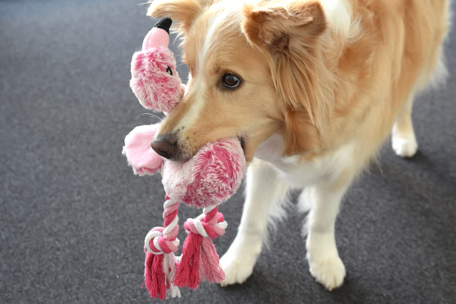 Flamingo Jouet Chien Peluche Andes Flamant Rose 36cm 2 Flamingo Jouet Chien Peluche Andes Flamant Rose 36cm – Image 2
