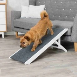 Trixie Rampe Réglable En Hauteur 36 X 90 Cm -Magasin De Fournitures Pour Chiens De Compagnie 5b8ac48f033896847446c1a3bf14b7b62bb8dfef4ed8223485e2909f137a27c7