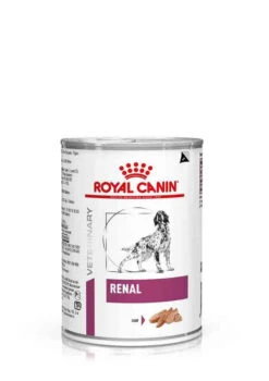 Royal Canin Renal Chien -Magasin De Fournitures Pour Chiens De Compagnie 61fe535af004f1332db6856b5dcef836223859bb6bcb817591e592e8408962bc