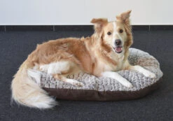 Flamingo Coussin Snoozzy Ovale Fermeture Eclair Brun 90x66x10cm -Magasin De Fournitures Pour Chiens De Compagnie 637512647d721696dc3779cc78818d65a2760ed947c44a595a1ea79f07552dfb