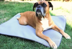 Nouveaux produits -Magasin De Fournitures Pour Chiens De Compagnie 638baae81eb1e1760e928973f328af13c93fa40d74fa34b96d53b09ed3adbfed