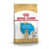 Royal Canin Labrador Retriever Chiot Pour Chien 12kg