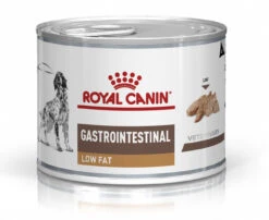 Royal Canin Gastro Intestinal Low Fat Chien -Magasin De Fournitures Pour Chiens De Compagnie 71a62bc0b244a0a5cb4975f3ca4307921465dd9c5d4b77c304b9e5cad2f1a2bb