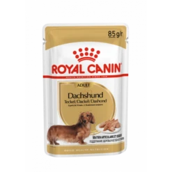 Royal Canin Teckel Adult Pour Chien 12 X 85g