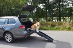 Flamingo Rampe Chien Pliante En Plastique 150x39,5x13 -Magasin De Fournitures Pour Chiens De Compagnie 8357b81a52303b229e20b751700601a7d1358867f6a4d1c20febc5541aa06e6e