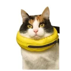 Collier Lune -Magasin De Fournitures Pour Chiens De Compagnie 86eaa3c4e19da65cd3ccf16b9b644242d1ea36ae29fd6c84734ea4df7c7f1d52 1