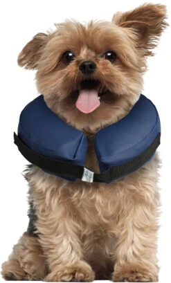 Flamingo Collier Gonflable Pour Chiens Gofi Xs -Magasin De Fournitures Pour Chiens De Compagnie 91c7e2540c51d376ee330bcd170be2dab27a83c045c0d7076ffa4ded7c6dc45c