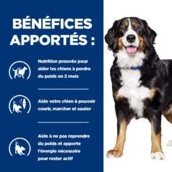 HILL'S PRESCRIPTION DIET METABOLIC + MOBILITY GESTION DU POIDS BOÎTES POUR CHIEN 12X370G 6 HILL'S PRESCRIPTION DIET METABOLIC + MOBILITY GESTION DU POIDS BOÎTES POUR CHIEN 12X370G -Magasin De Fournitures Pour Chiens De Compagnie Hills prescription diet chien metabolic mobility boites poulet 2 FR