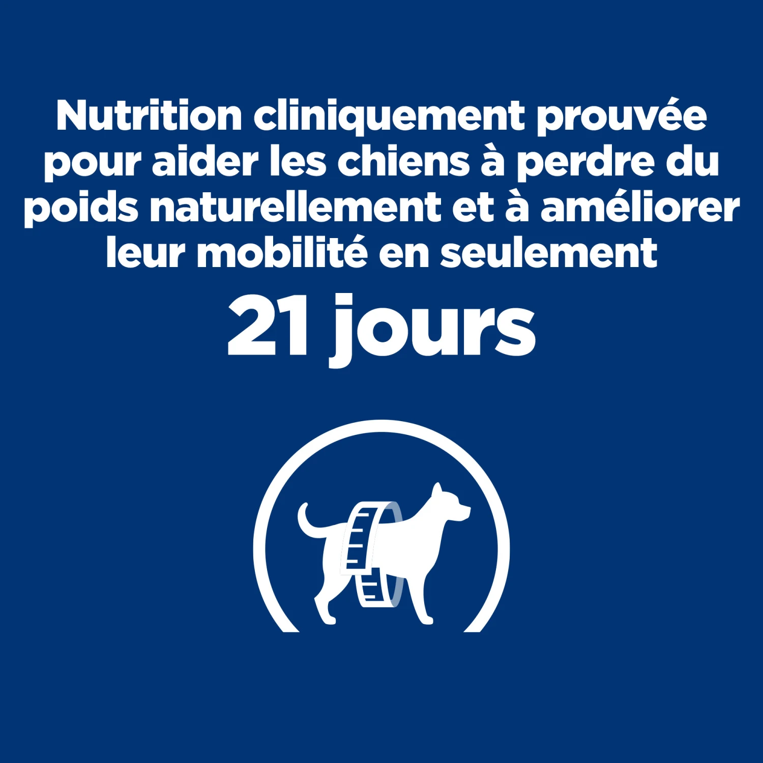 HILL'S PRESCRIPTION DIET METABOLIC + MOBILITY GESTION DU POIDS BOÎTES POUR CHIEN 12X370G 4 HILL'S PRESCRIPTION DIET METABOLIC + MOBILITY GESTION DU POIDS BOÎTES POUR CHIEN 12X370G – Image 4