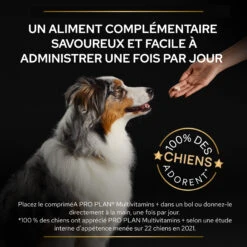 Purina PRO PLAN MULTIVITAMINS+ CHIEN ALIMENT COMPLEMENTAIRE - 67G 18 Purina PRO PLAN MULTIVITAMINS+ CHIEN ALIMENT COMPLEMENTAIRE - 67G -Magasin De Fournitures Pour Chiens De Compagnie PRO PLAN MULTIVITAMINS DOG SUPPLEMENT 67G 7 FR