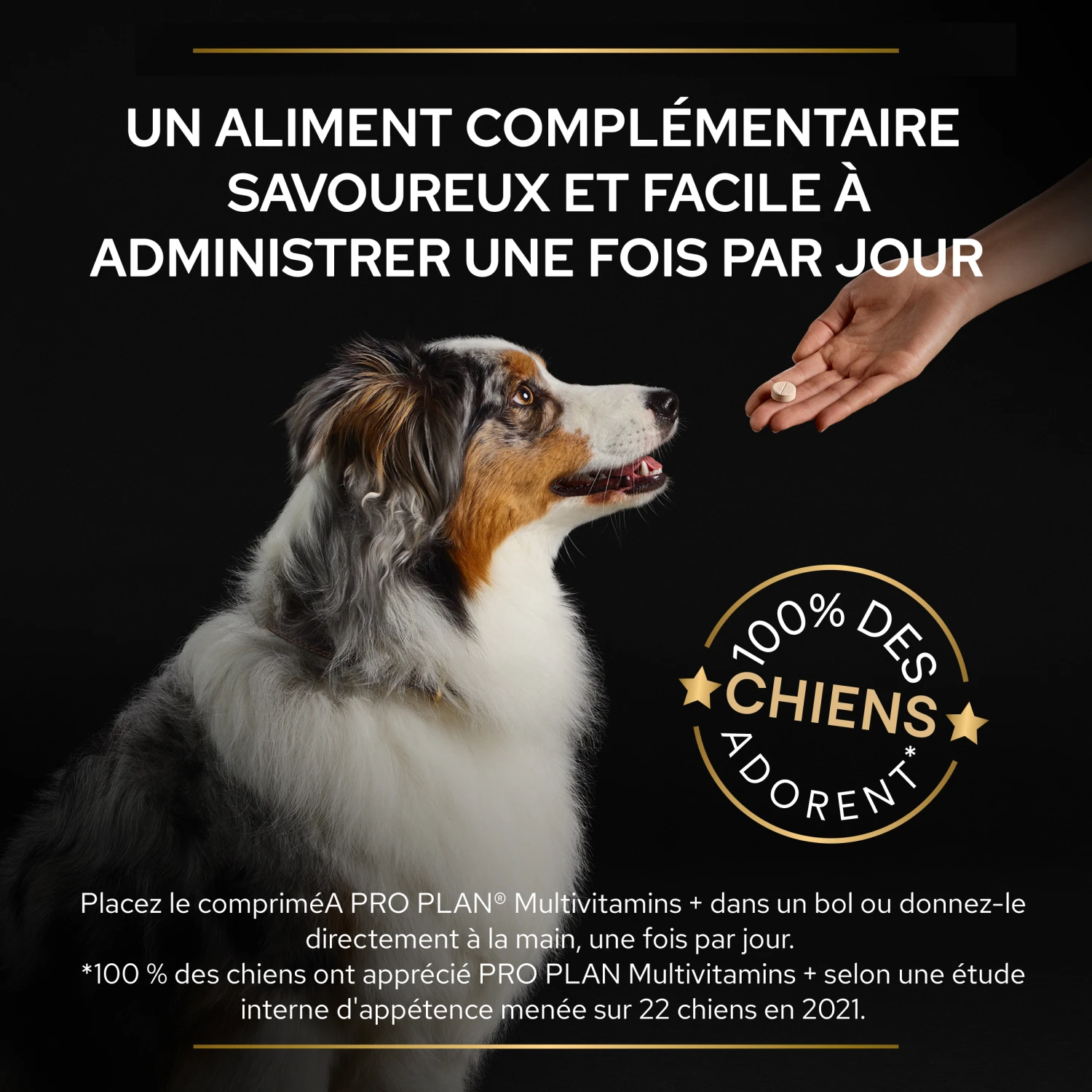 Purina PRO PLAN MULTIVITAMINS+ CHIEN ALIMENT COMPLEMENTAIRE - 67G 8 Purina PRO PLAN MULTIVITAMINS+ CHIEN ALIMENT COMPLEMENTAIRE - 67G – Image 8