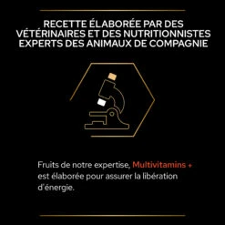 Purina PRO PLAN MULTIVITAMINS+ CHIEN ALIMENT COMPLEMENTAIRE - 67G 19 Purina PRO PLAN MULTIVITAMINS+ CHIEN ALIMENT COMPLEMENTAIRE - 67G -Magasin De Fournitures Pour Chiens De Compagnie PRO PLAN MULTIVITAMINS DOG SUPPLEMENT 67G 8 FR