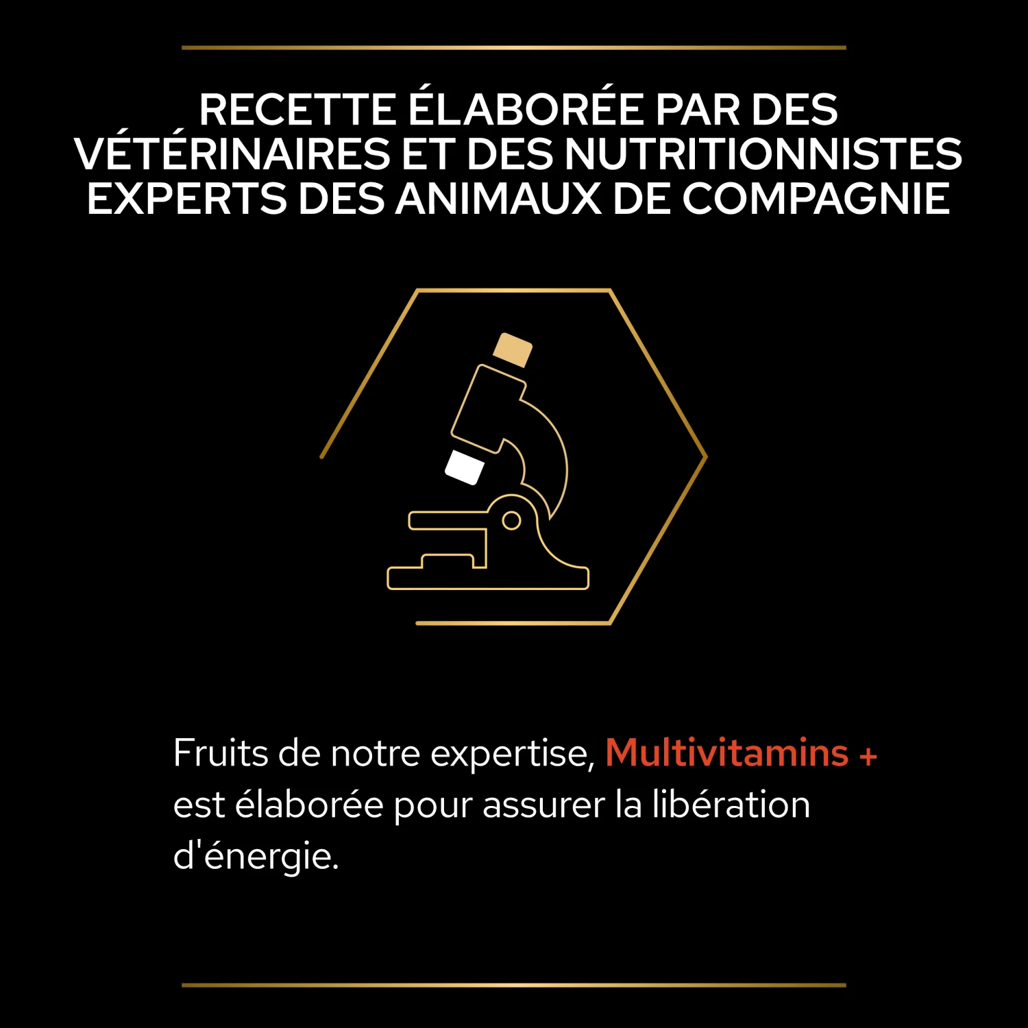 Purina PRO PLAN MULTIVITAMINS+ CHIEN ALIMENT COMPLEMENTAIRE - 67G 9 Purina PRO PLAN MULTIVITAMINS+ CHIEN ALIMENT COMPLEMENTAIRE - 67G – Image 9