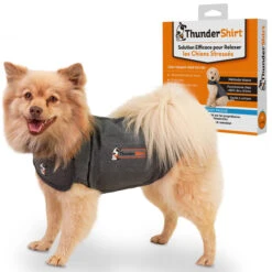 Body Anti Stress Thundershirt -Magasin De Fournitures Pour Chiens De Compagnie Thundershirt XS
