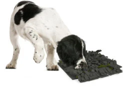 Flamingo Tapis à Renifler Amigo Rectangulaire + Fermeture Eclair Gris/vert 40x50cm -Magasin De Fournitures Pour Chiens De Compagnie a775a03a816b5a96e49c58cd3ecbc26540a84574cd16c3ba95abf6994148d0f2