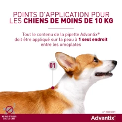 Advantix Très Petit Chien 2-4Kg -Magasin De Fournitures Pour Chiens De Compagnie advantix point d application 2